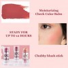 Cotensta Blush Stick, Crayon Blush, Waterproof et Durable, pour les Joues, les Yeux et les lèvres, 8.5g