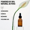 Grown Alchemist Skin Renewal Serum - Antioxidant-Rich Nighttime Serum – Hydrates, Improves Radiance and Texture – Ashwagandha