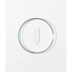 Grown Alchemist Skin Renewal Day Cream – Powerful Lightweight Cream Moisturiser – Hydrates, Supports Skin and Improves Radian