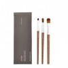 AVEDA Flax Sticks Special Effects Set de pinceaux 05 estompeurs des yeux + 06 contour des yeux + 08 complexion 