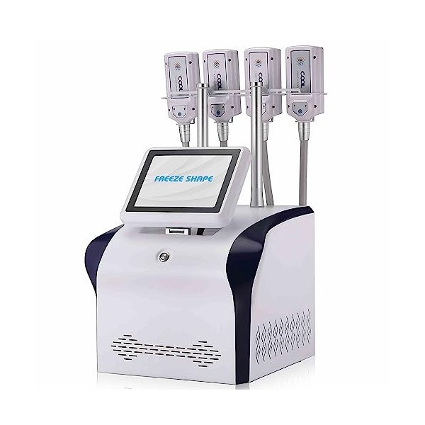 Machine de congélation de Graisse par cryolipolyse EMS RF avec 4 plaques de Refroidissement, Machine de Sculpture corporelle 