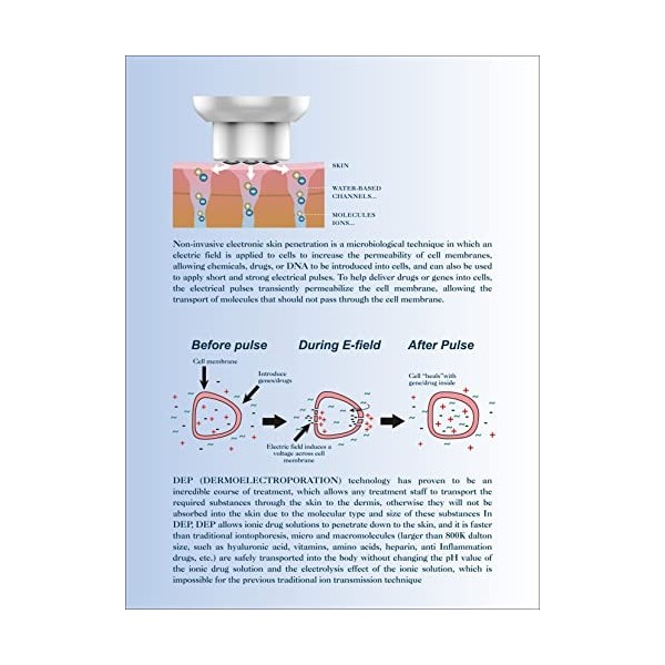 Dermoélectroporation DEPsuperconductrice pour raffermir la peau en profondeur