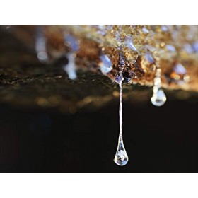 Alysonoldoini Cuir DEncens Eau de Parfum pour Homme, Vaporisateur Naturel - 60 ml