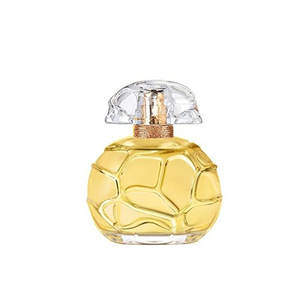 HOUBIGANT Parfum pour Femme 100 ml