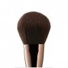 delilah Large Powder Brush - BR02 For Women 1 Pc Brush