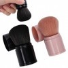 Powder Blush - Lot de 2 pinceaux professionnels rétractables pour le visage