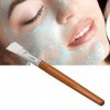 Brosse de Masque Facial, Brosse de Masque dargile de Poignée en Bois Moelleuse de Cheveux Doux de Bricolage Portative pour d