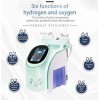 LVYE1 MRMF Appareil de beauté faciale 6 en 1, Instrument intégré Gestion de la Peau avec détection, Petites Bulles Machines b