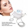 Machine de Rajeunissement de la Peau RF, Dispositif RF Microneedle élimine les Rides 2 en 1 110-220V Détoxification Levage én