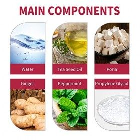 Lot de 10 Patchs de Mise en Forme du Ventre, Extrait Dherbes Danger pour Brûler les Graisses, Augmente la Circulation pour u