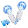 Smasener 2PCS Facial Ice Globes, Globes de Glace Massage Visage, Massage Visage Hockey sur Glace, Ice Globes for Fciales, Ant