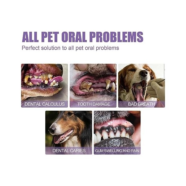 Teeth Gel Dents Propres Pour Chiens, Pet Oral Restoration Whitening Gel, Gel De Réparation Bucco-Dentaire Pour Animaux De Com