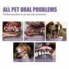 Teeth Gel Dents Propres Pour Chiens, Pet Oral Restoration Whitening Gel, Gel De Réparation Bucco-Dentaire Pour Animaux De Com