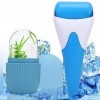 Rouleau à glace pour le visage et les yeux, Ice Face Roller pour le visage, Skincare Tools Sets pour soulager les gonflements