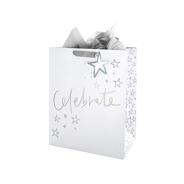 Hallmark Ensemble sac cadeau et papier de soie multi-occasions – Motif holographique avec papier argenté