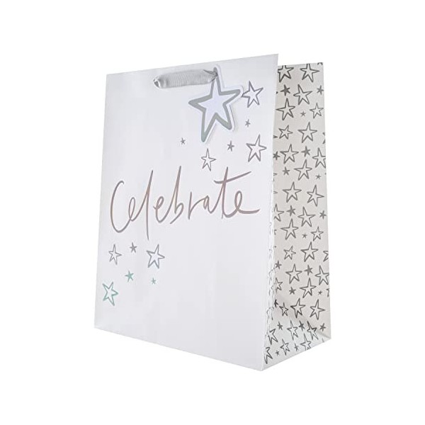 Hallmark Ensemble sac cadeau et papier de soie multi-occasions – Motif holographique avec papier argenté