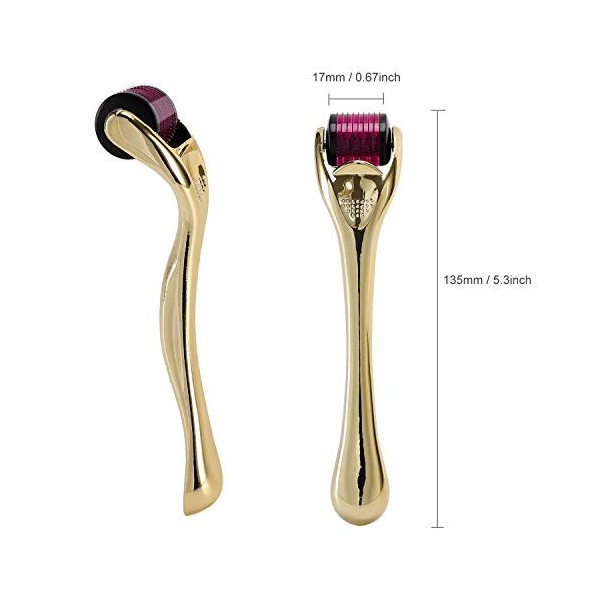 Rouleau Derma Roller 1.0 mm, AISONBOO Needle 540 en titane pour perte de cheveux, rides, dommages au soleil, taches sombres, 