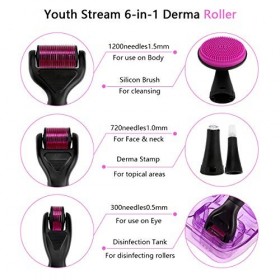 E-More Dermaroller, 6 En 1 Derma Roller Kit pour Régéneration de Peau, Anti-âge,Anti-rides, Retrait de cicatrice acne, Pores 