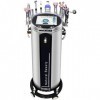 Machine de polissage hydrodermabrasion 10 en 1 pour le visage