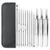 Extracteur Point Noir 12 Pcs Point Noir Blackhead Remover Outil, Tire Comedons Professionnel Extracteur Point Noir en Acier I