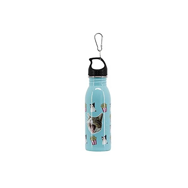 Oh My Pop! Angry Cat-Bouteille dEau 500 ml, Turquoise