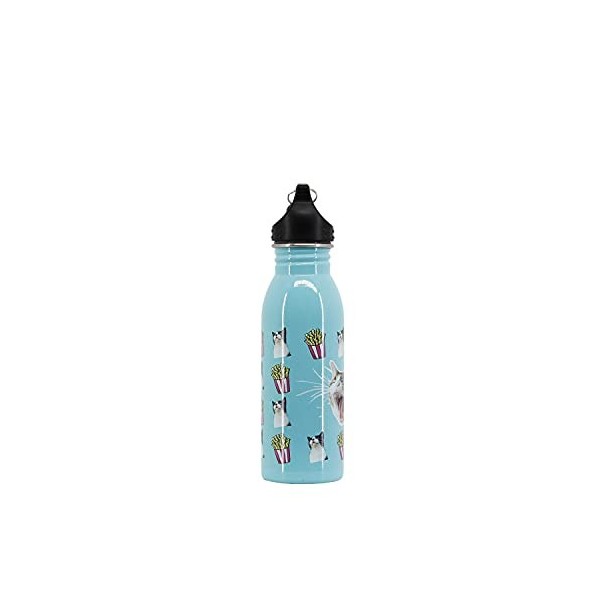 Oh My Pop! Angry Cat-Bouteille dEau 500 ml, Turquoise