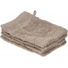 De Witte Lietaer 194691 Stephanie Lot de 4 Gants de Toilette Coton Gris Clair 540 g/m² 15 x 22 x 1 cm