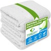 Towelogy® Lot de 3 gants de toilette en flanelle de qualité supérieure 100 % coton égyptien filé à lanneau, super doux, 30 x