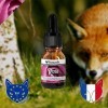 FoxCoh, Rose 10ml, Huile essentielle Concentré de parfum - Pipette - Diffusion, Cosmétique, Massage, Bain aromatique - DIY 