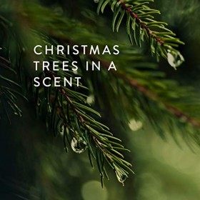 Thymes Frasier Fir Hand Cream 100ml