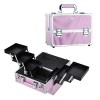 Mallette à Maquillage Valise Maquillage Coffret Rangement avec Doubles Serrures Maquillage Aluminium Boîte de Cosmétique Orga