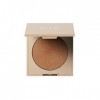 ILIA Beauty DayLite Highlighting Powder - Fame For Women 0.42 oz Highlighter