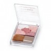 Scan Make-up Glow Fleur Cheeks 09 Burgund Fleur 6.3g