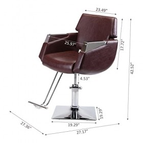FLOYINM Chaise de Salon de Coiffure de Style accoudoir argenté avec appuie-tête réglable