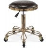 Tabourets roulants Tabouret sur roulettes Chaise rotative Salon de manucure Chaise de barbier Banc de Travail antidéflagrant 