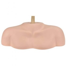 ErSiMan Buste d’apprentissage pour entraînement pratique