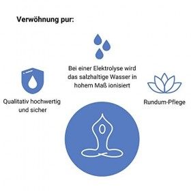 Bain de pieds à électrolyse Royal Spa Massage avec télécommande