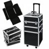 Salon de coiffure de beauté valise trolley-Professional 3 en 1 Cosmétique maquillage Vanity Artist case tiroirs amovibles tra