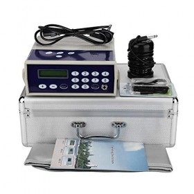 Qinlorgo Machine de Bain de Pieds de désintoxication ionique, Spa de Bain de Pieds à Matrice ionique nettoie Le Cadeau de Vac