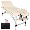 TecTake Table de Massage Pliante Aluminium Cosmetique Lit de Massage Portable + Housse de Transport - diverses Couleurs au Ch