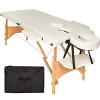 TecTake Table de Massage 2 Zones Pliante cosmetique lit de Massage Portable + Housse de Transport - diverses Couleurs au Choi