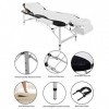 BTM,Table professionnelle de massage portable en aluminium, pliable en 3 sections,Pour salon de beauté, lit spa, physiothèrap