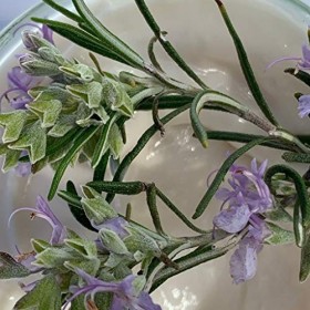 Masque Hydratant Cheveux The Lab Room Hair Mask 250ml, Soin Capillaire Professionnel Qui Nourrit Et Répare Les Cheveux Secs E