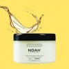 NOAH 2.3 Masque régénérant à lhuile dargan pour cheveux secs et abîmés, 500 ml, formulé et fabriqué en Italie, sans cruauté