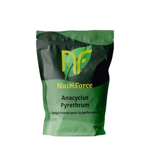 Pyrèthre dAfrique Anacyclus Pyrethrum/Akarkara - Poudre de racine - 100g