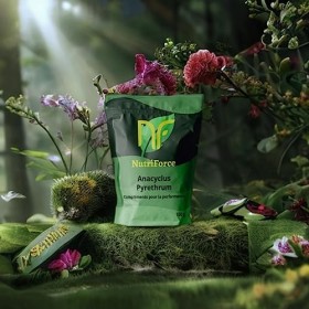 Pyrèthre dAfrique Anacyclus Pyrethrum/Akarkara - Poudre de racine - 100g