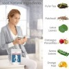 Thé et infusion Minceur - Amincissement - Brûle graisses - Programme de 28 jours - 28 sachets - Ingrédients 100% naturels - C