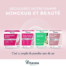 Vitavea - Expert Graisses et Sucres - Complément Alimentaire Capteur Graisses et Sucres - Minceur, Perte de Poids - Gymnéma e