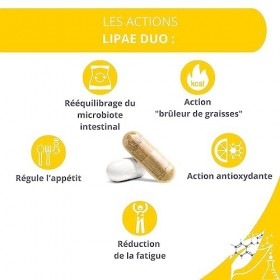 LIPAE DUO - Perte de Poids Ciblée : Graisse Abdominale - 60 gélules 30x Action brûleur de graisses + 30x Rééquilibrage du mi