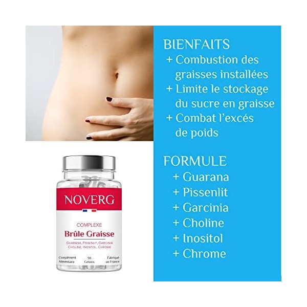 Brûleur de Graisse Puissant | Perte de Poids Rapide & Durable | Femme & Homme | Guarana, Pissenlit, Garcinia, Choline, Inosit